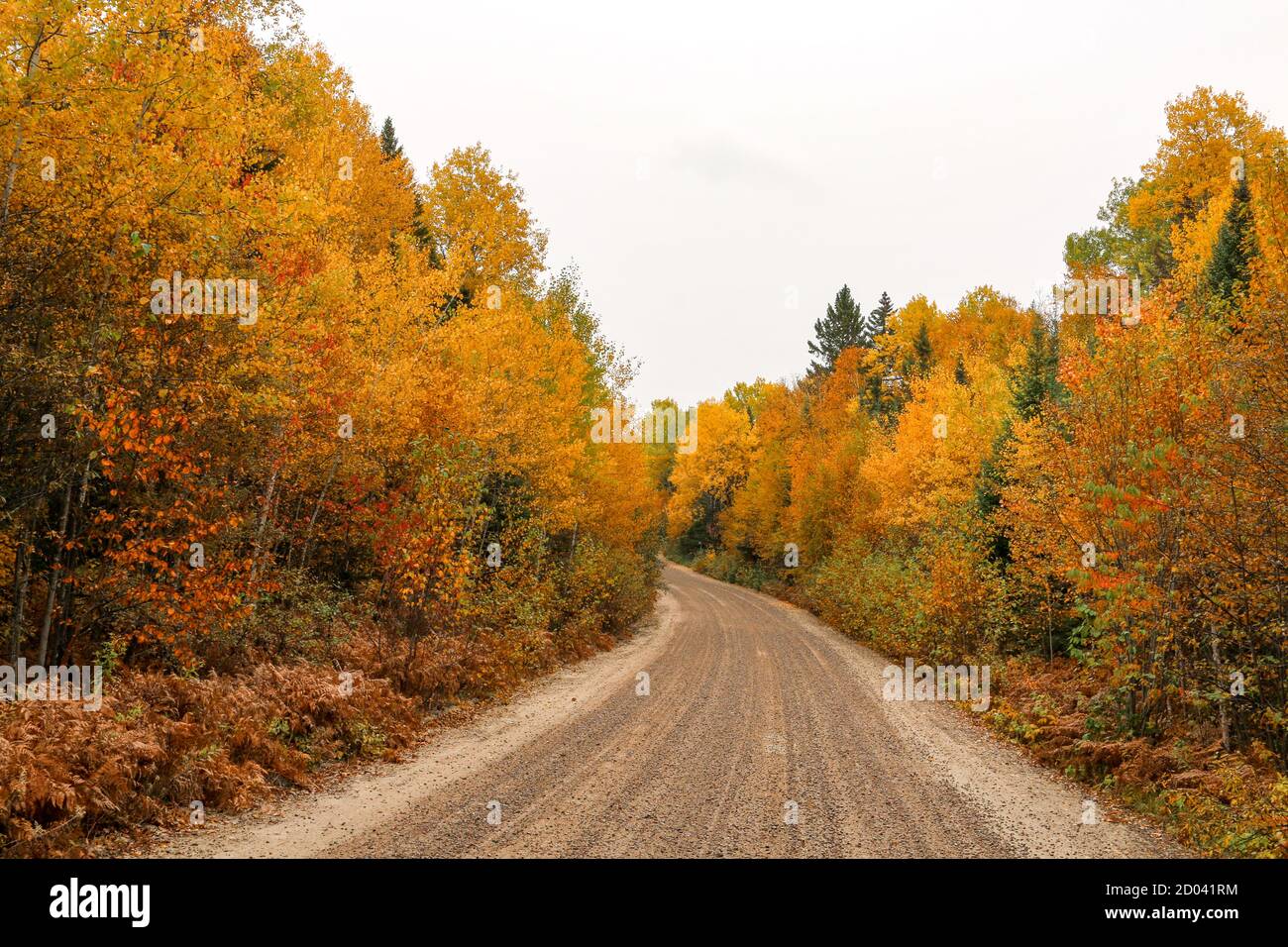 Autumn in full colors Stock Photo