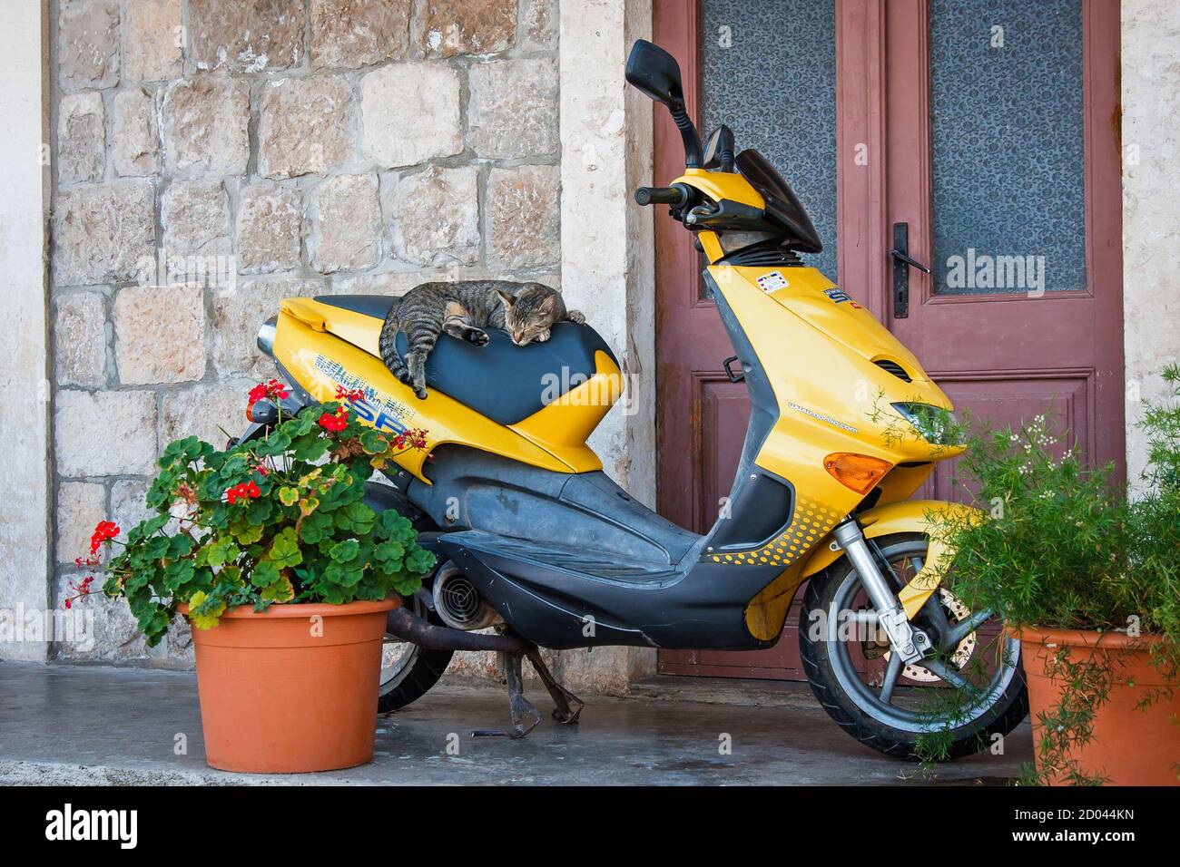 TRPANJ, CROATIA - August 27, 2013. A cat is sleeping on a scooter seat. Stock Photo