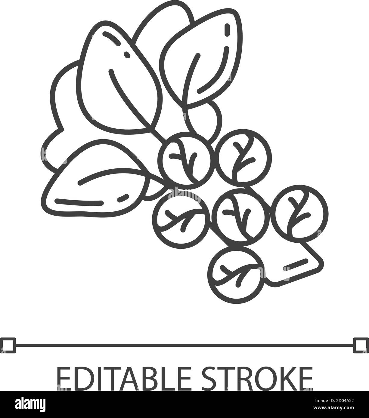 Brussels sprouts pixel perfect linear icon Stock Vector