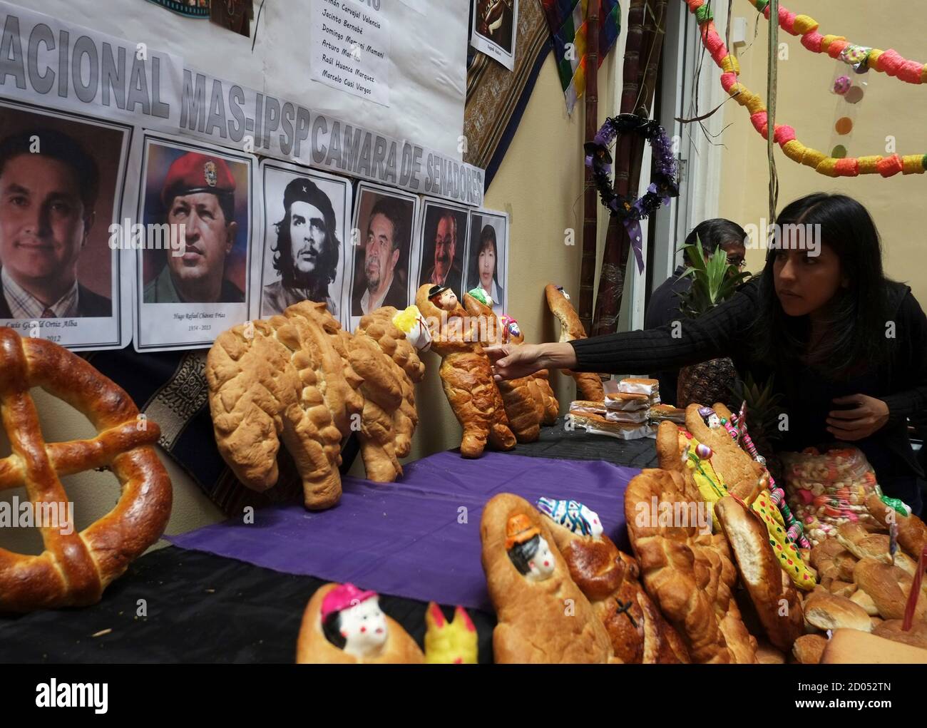 A woman arranges offerings in front of images, including portraits of Venezuela's Hugo Chavez and Argentine Ernesto "Che" Guevara, during All Saints' Day celebrations in La Paz, November 1, 2013. Traditionally, indigenous Bolivians celebrate All Saints Day by paying homage to their dead ones with a feast of home-baked, doll-shaped breads, fresh fruit and coca leaves and flowers. The syncretism practiced by the Aymaras, a blend of Catholicism and indigenous beliefs, calls for the offerings to be neatly placed on top of graves, and then to give them away to beggars, who in exchange say prayers f Stock Photo