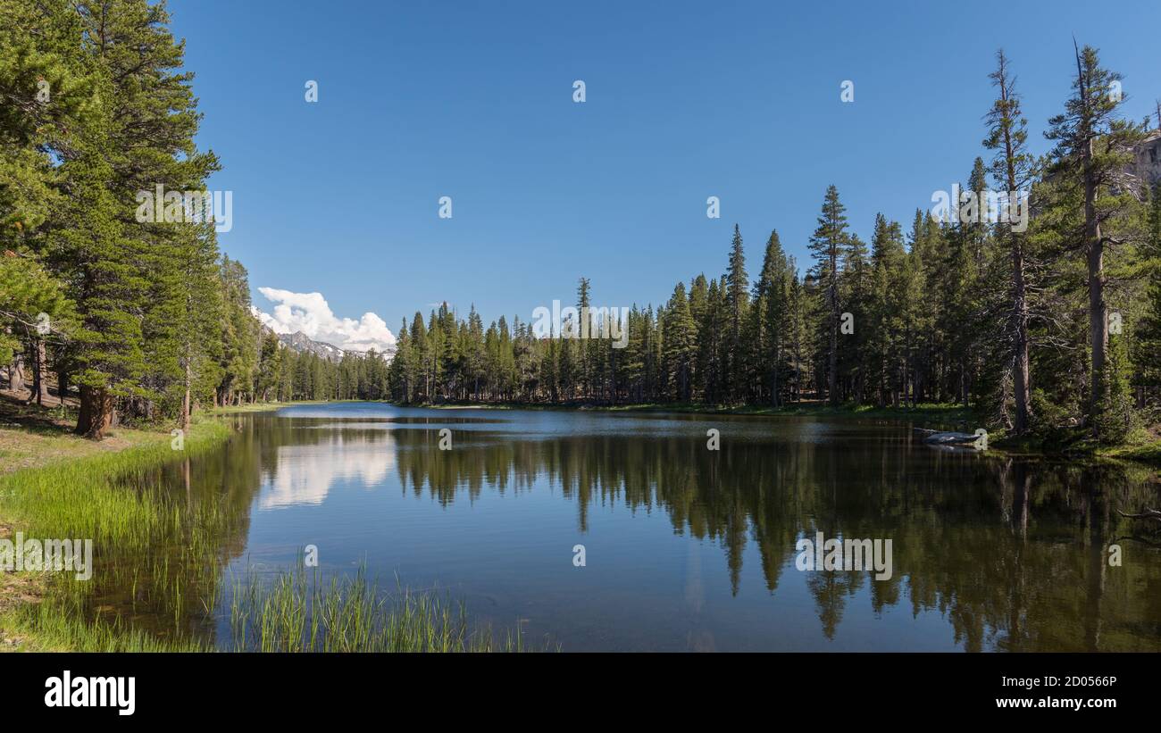An alpine lake with reflections  surrounded by pine trees and grass with mountains and clouds in the distance in California. Stock Photo
