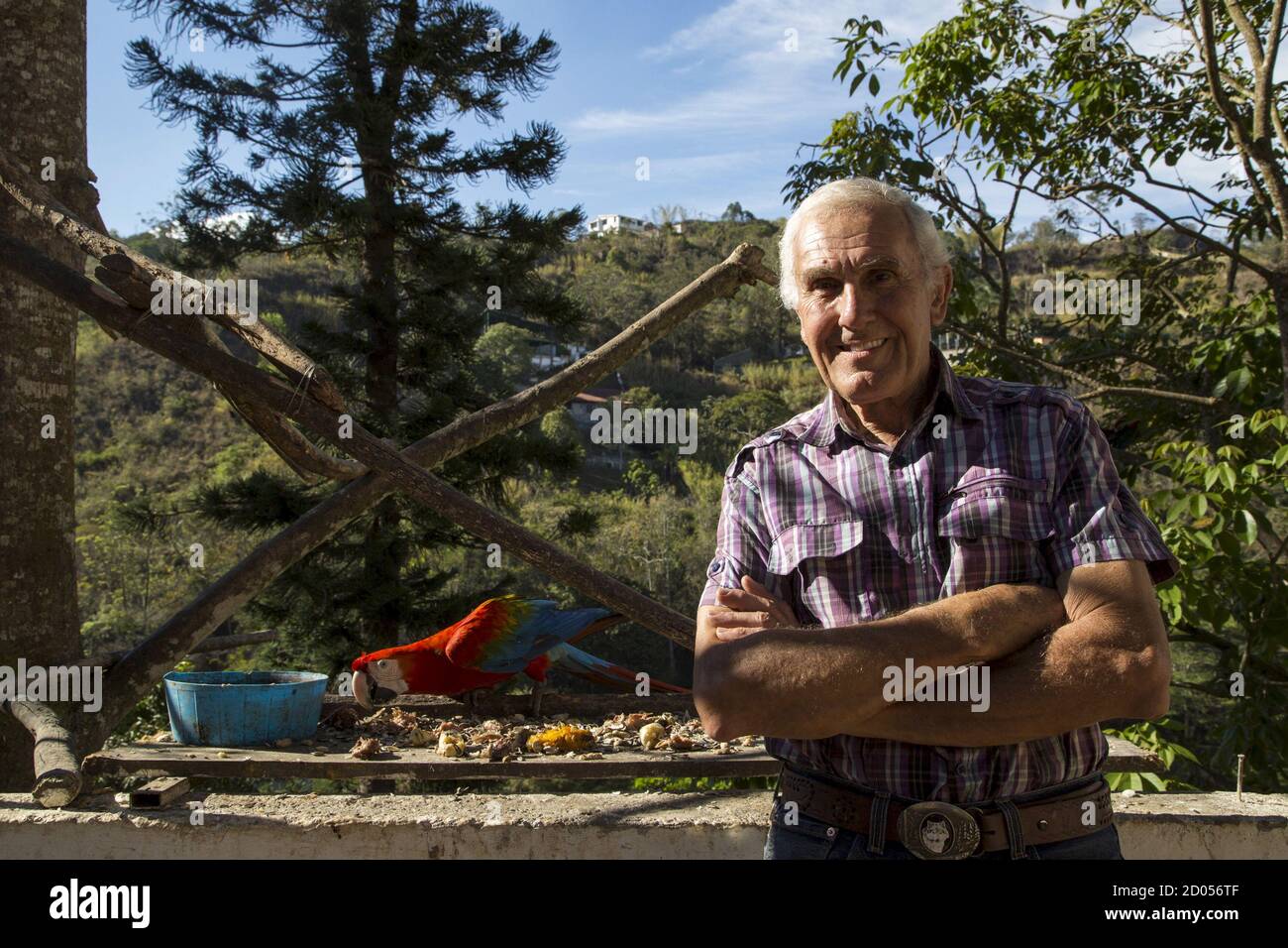 Vittorio Poggi poses for a picture at his balcony in Caracas April 10, 2015. In the 1970s, at the foot of the Caribbean mountain range flanking Caracas, a motorcycle-riding Italian immigrant turned heads for being inexplicably chased by a macaw nicknamed 'Pancho.' The young man, Vittorio Poggi, was an animal lover who was then inspired to breed the birds en masse and release them across the fertile valley that cradles Venezuela's gritty capital. Forty years later, hundreds - perhaps thousands - of descendants of those long-tailed birds color Caracas' sky, giving its five million residents a mo Stock Photo