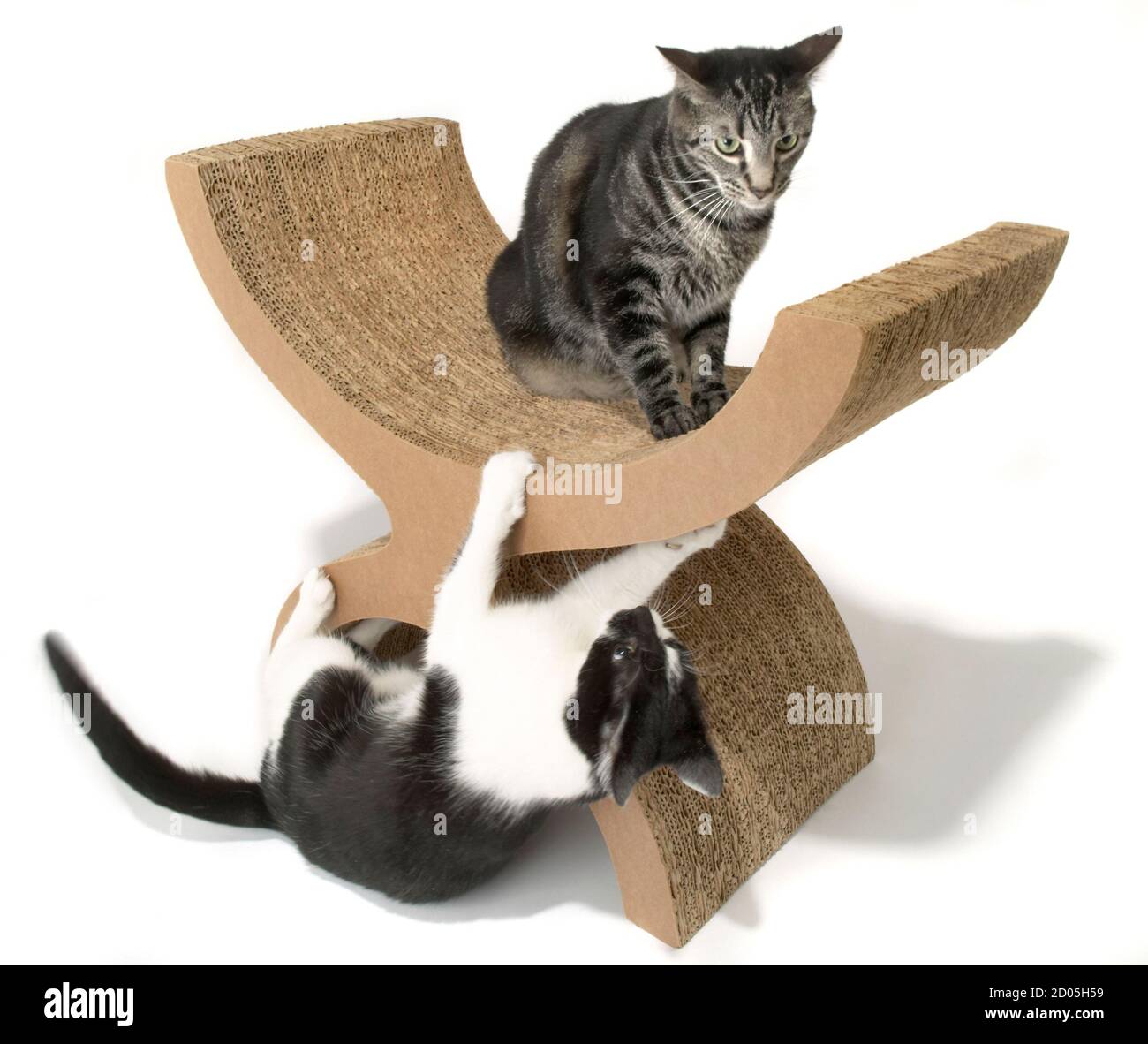 cardboard scratching post for cats with seat photographed on a white