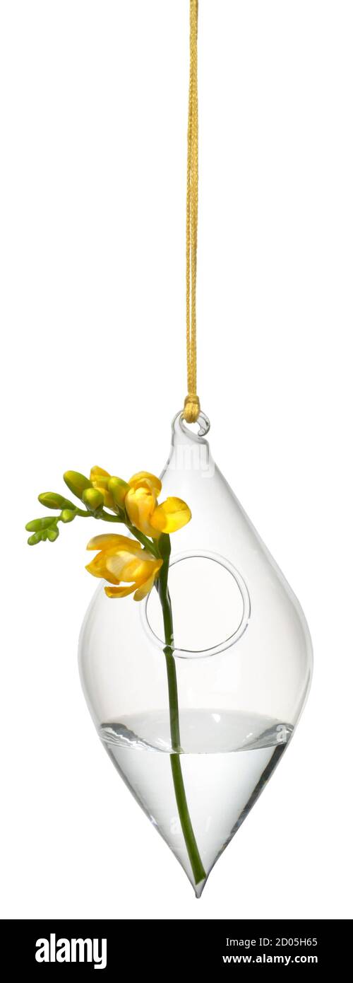 Crate & Barrel CB2 hanging tear drop glass vase photographed on a white  background Stock Photo - Alamy