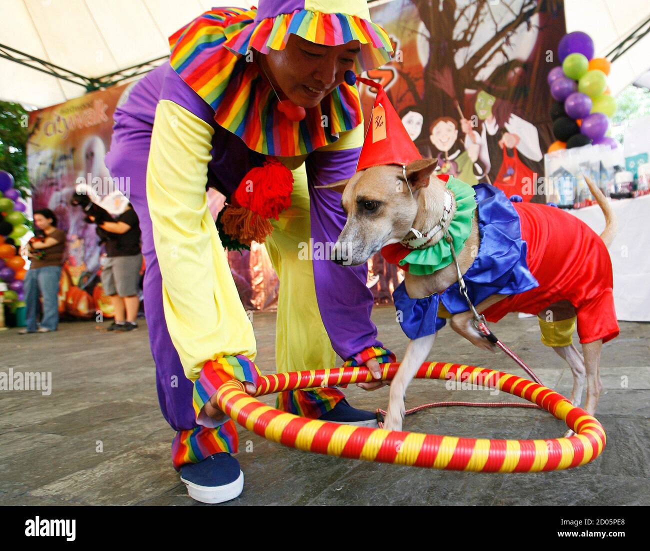 Download Dog Dressed As Clown High Resolution Stock Photography And Images Alamy