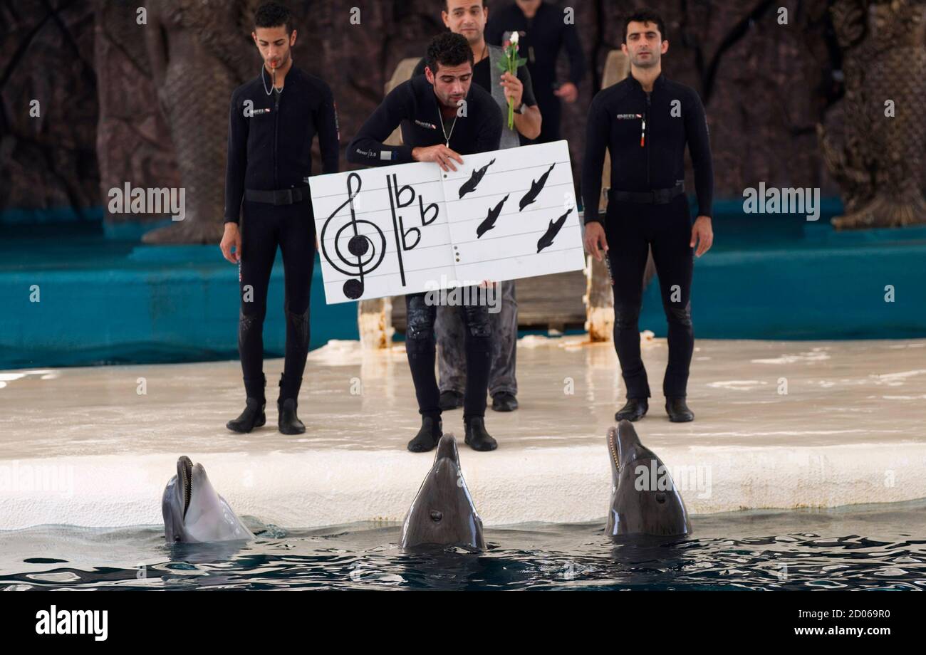 Iranian animal trainer hires stock photography and images Alamy