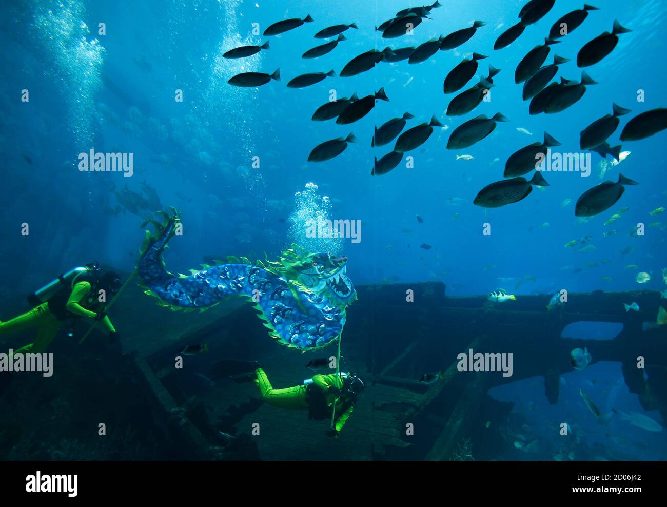 https www alamy com divers perform a dragon dance as they bless the shipwreck habitat of the sea aquarium as part of the festive chinese new year celebrations in sentosa island singapore january 30 2014 the lunar new year which welcomes the year of the horse falls on friday reutersedgar su singapore tags society image378774034 html