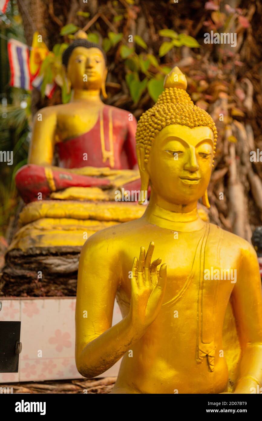 Golden Buddha Statues in Multiple Various Poses Stock Photo Alamy