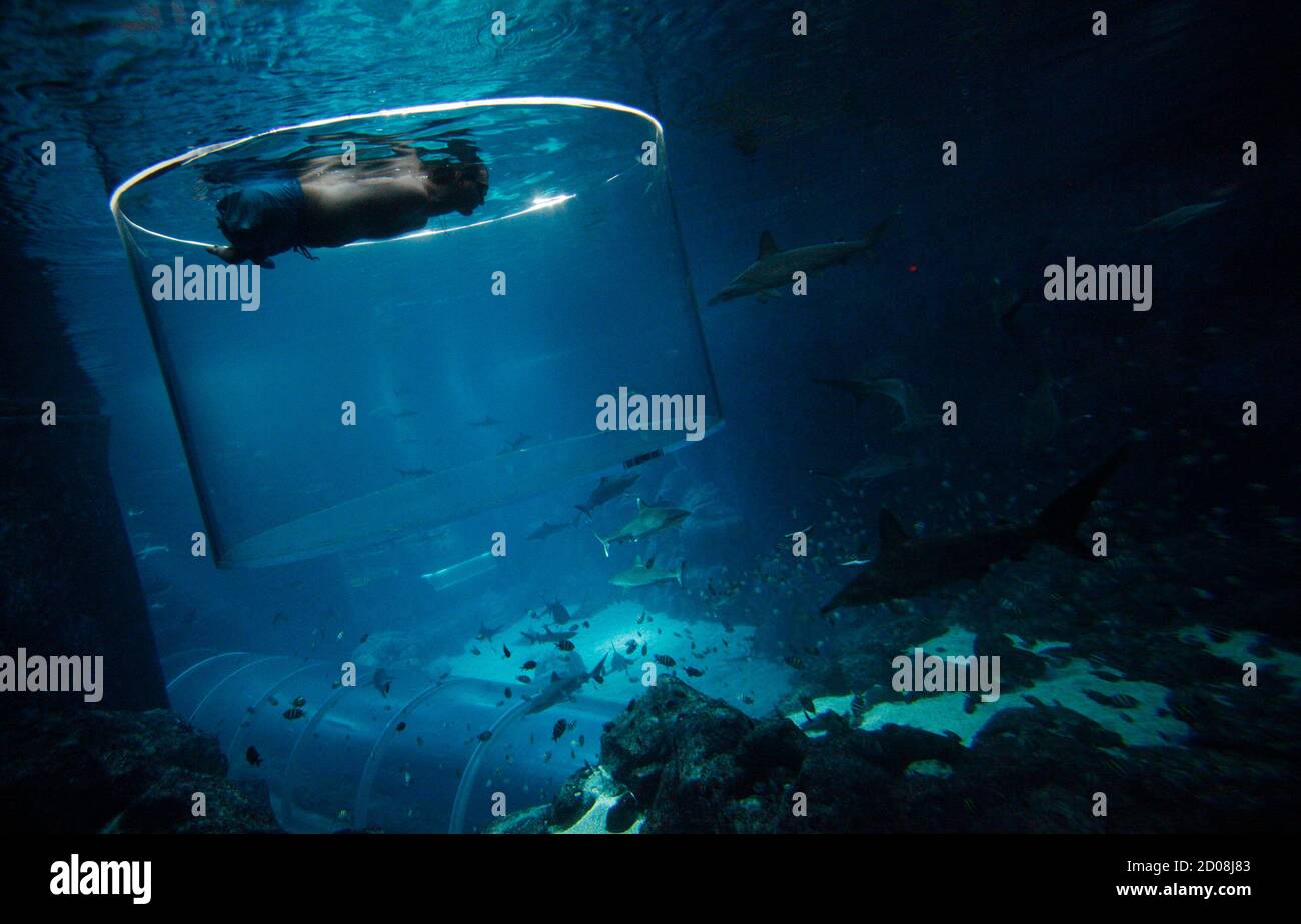 alamy