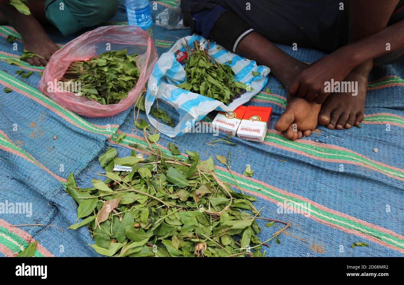 Page 2 Khat Chew High Resolution Stock Photography And Images Alamy