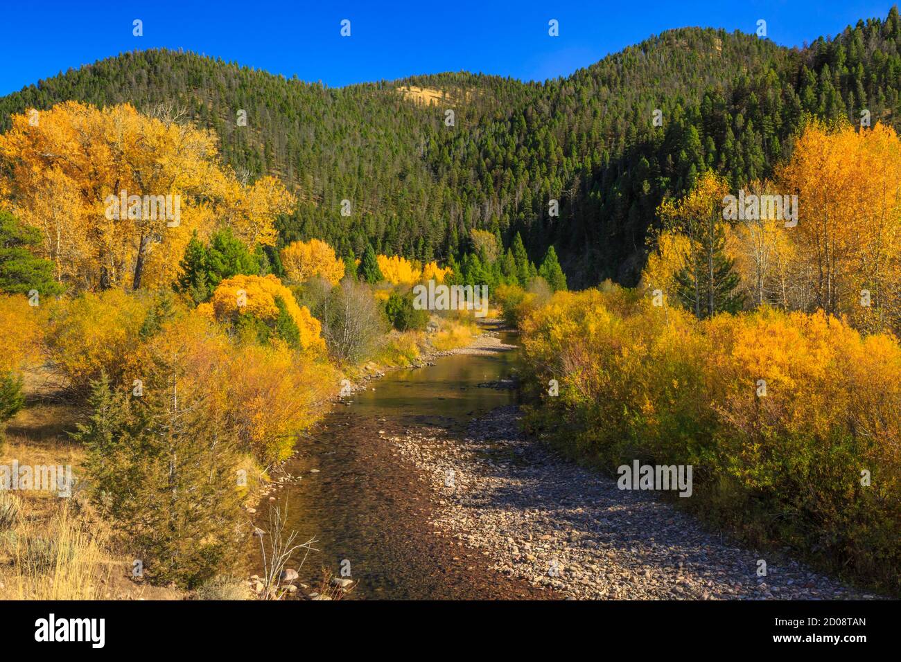 fall colors along the blackfoot river near lincoln, montana Stock Photo ...