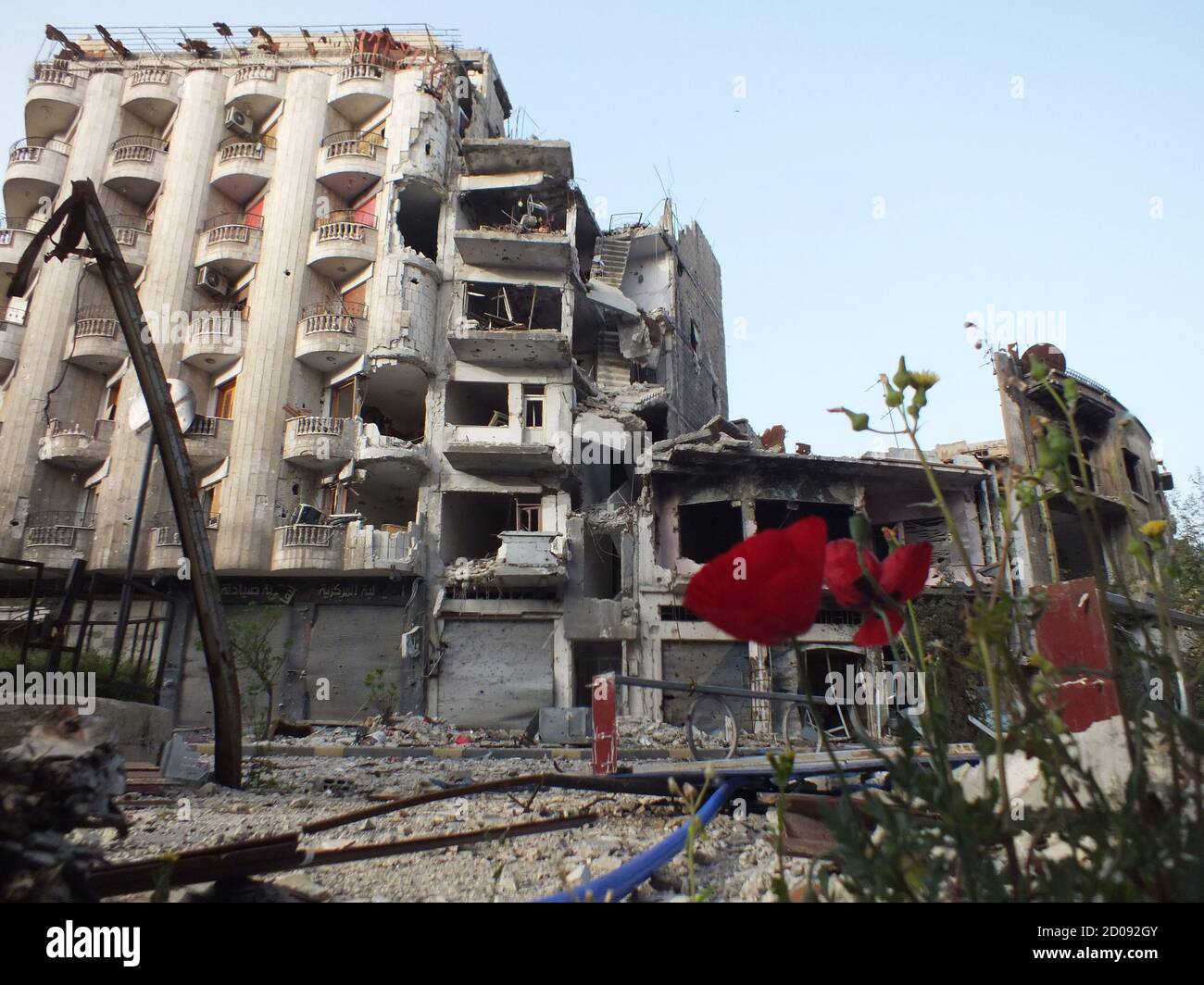 Coquelicots are seen on a street lined with buildings damaged by what activists said was shelling by forces loyal to Syria's President Bashar al-Assad in Jouret al Shayah area in Homs, April 8, 2013. REUTERS/Yazan Homsy (SYRIA - Tags: POLITICS CIVIL UNREST) Stock Photo