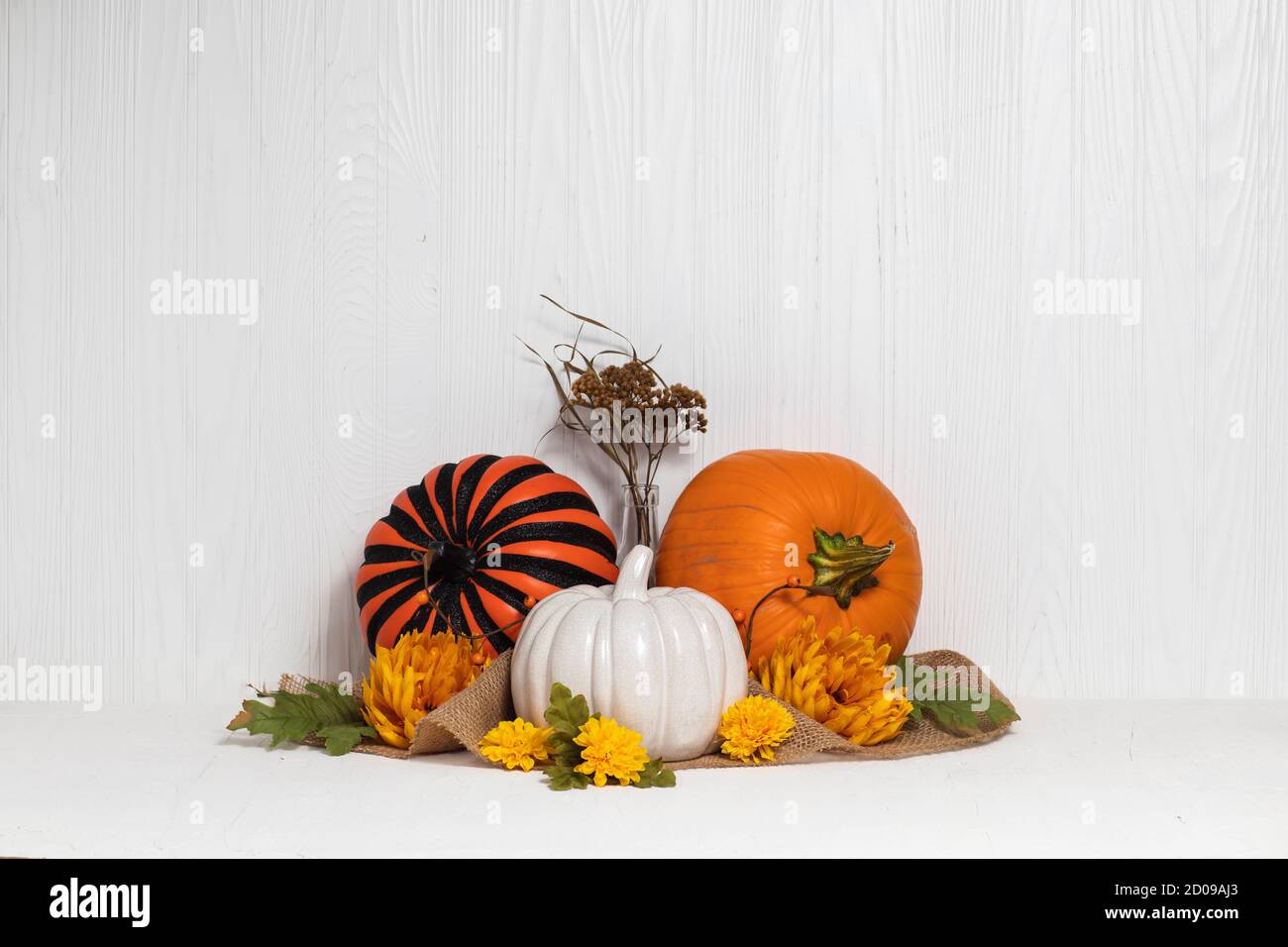 Halloween pumpkin composition with different colors with white background Stock Photo