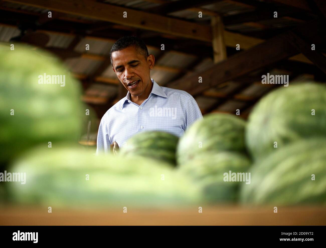 U S President Barack Obama Looks At Watermelons To Buy During A Stop At Berry S Produce Market In Mechanicsville Virginia July 14 12 Obama Travelled To Virginia On Saturday For Campaign Events Reuters Jason U S President Barack Obama Looks At Watermelons To Buy During A Stop At Berry S Produce Market In Mechanicsville Virginia July 14 12 Obama Travelled To Virginia On Saturday For Campaign Events Reuters Jason