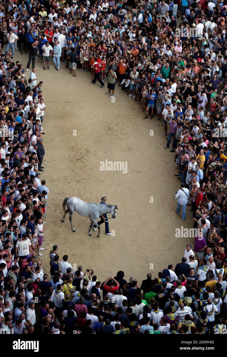 The horse of Tartuca parish is escorted by its groom after training session of the Palio race in Siena August 15, 2012. Every year on August 16, almost without fail since the mid-1600s, 10 riders compete bareback around Siena's shell-shaped central square in a bid to win the Palio, a silk banner depicting the Madonna and child. REUTERS/Alessandro Bianchi (ITALY - Tags: SOCIETY ANIMALS SPORT HORSE RACING TPX IMAGES OF THE DAY) Stock Photo