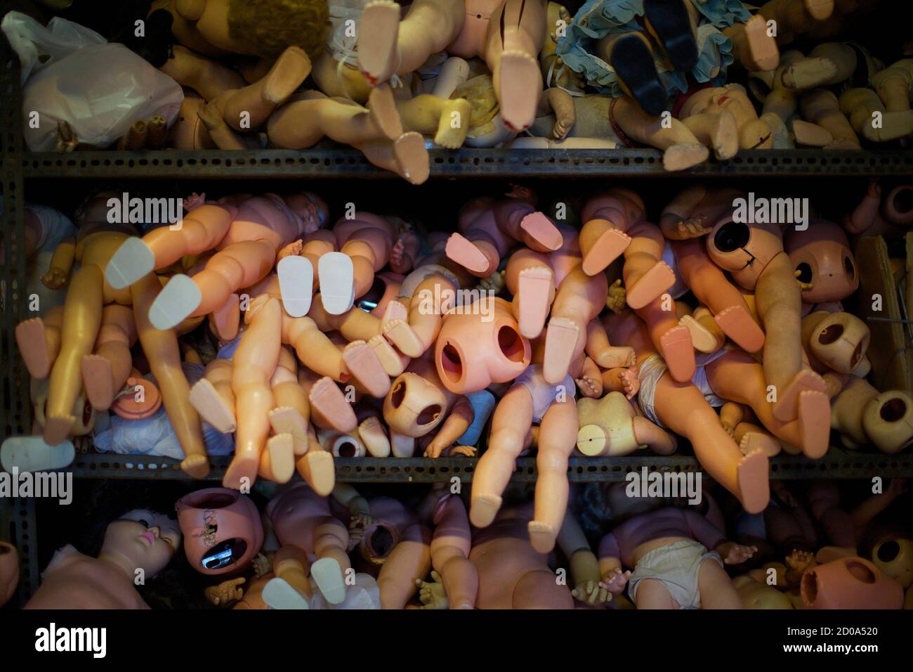 Hundreds of doll limbs are pictured stacked on shelves inside the workshop of Sydney's Doll Hospital, July 12, 2014.  The Doll Hospital, a family business over 100 years old, employs a handful of skilled workers to restore and repair people's childhood treasures. In an age where plastic dolls are mass produced, few dolls hospitals around the world have survived.  Picture taken July 12, 2014.   REUTERS/Jason Reed   (AUSTRALIA - Tags: SOCIETY) Stock Photo