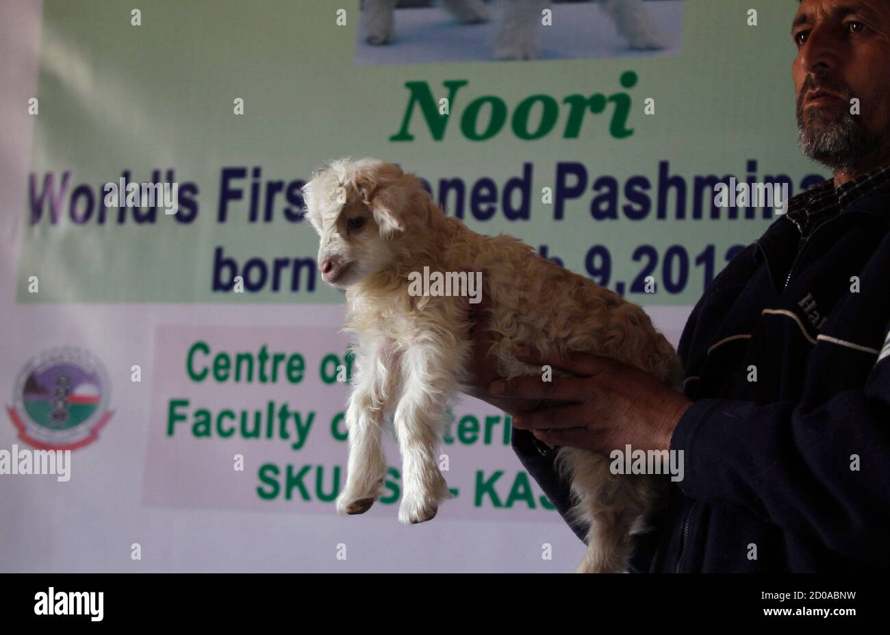 Noori, a cloned Pashmina goat is held by a staff member at the Faculty of Veterinary Sciences and Animal Husbandry of Sher-e-Kashmir University of Agricultural Sciences and Technology (SKUAST), in Shuhama, 25 Noori, a cloned Pashmina goat is held by a staff member at the Faculty of Veterinary Sciences and Animal Husbandry of Sher-e-Kashmir University of Agricultural Sciences and Technology (SKUAST), in Shuhama, 25