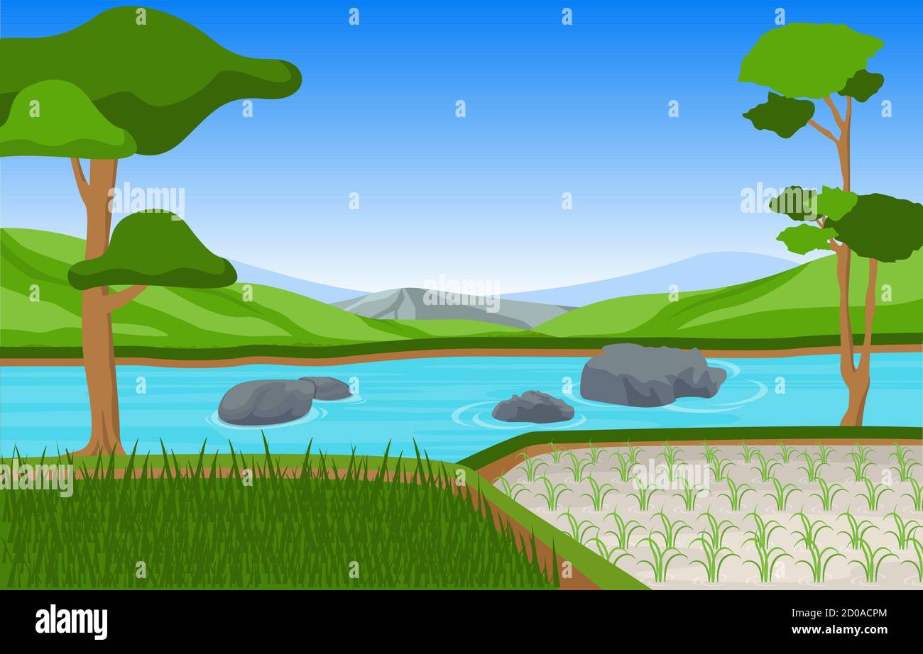 Asian Rice Field Paddy Plantation Agriculture Landscape Illustration Stock  Vector Image & Art - Alamy