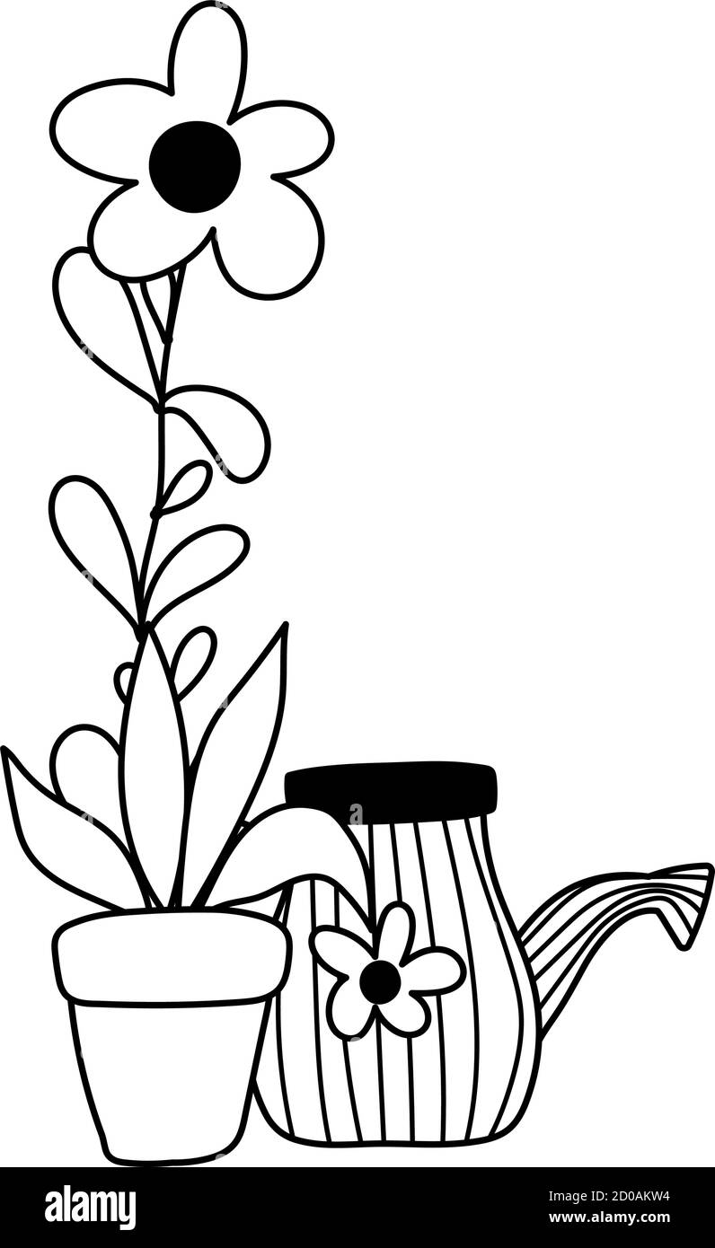 gardening, watering can and flower in pot decoration nature isolated ...