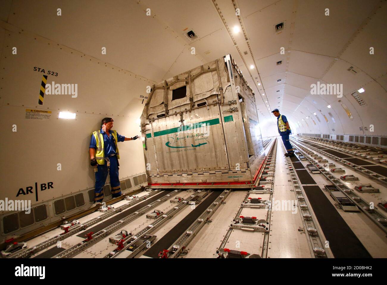 aa cargo animals
