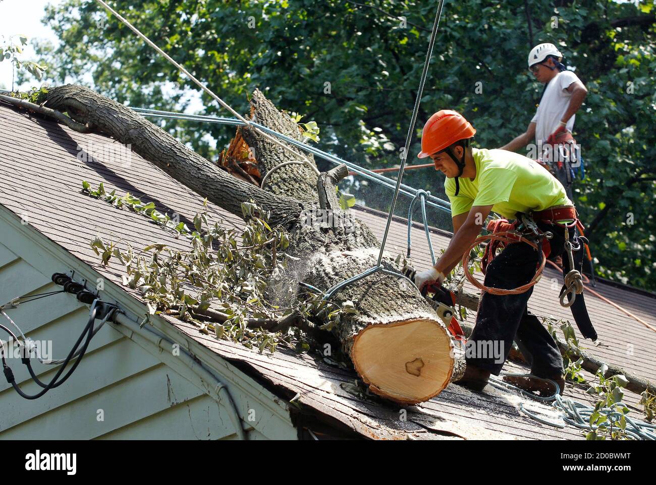 Tree limb removal hires stock photography and images Alamy