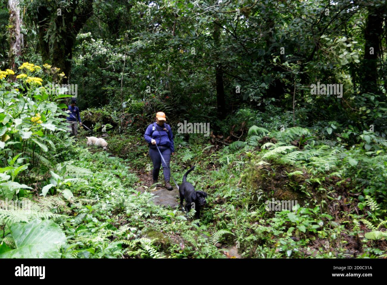 Emergency Service Personnel And Search And Rescue Dogs Comb A Hiking Trail After Two Dutch Women