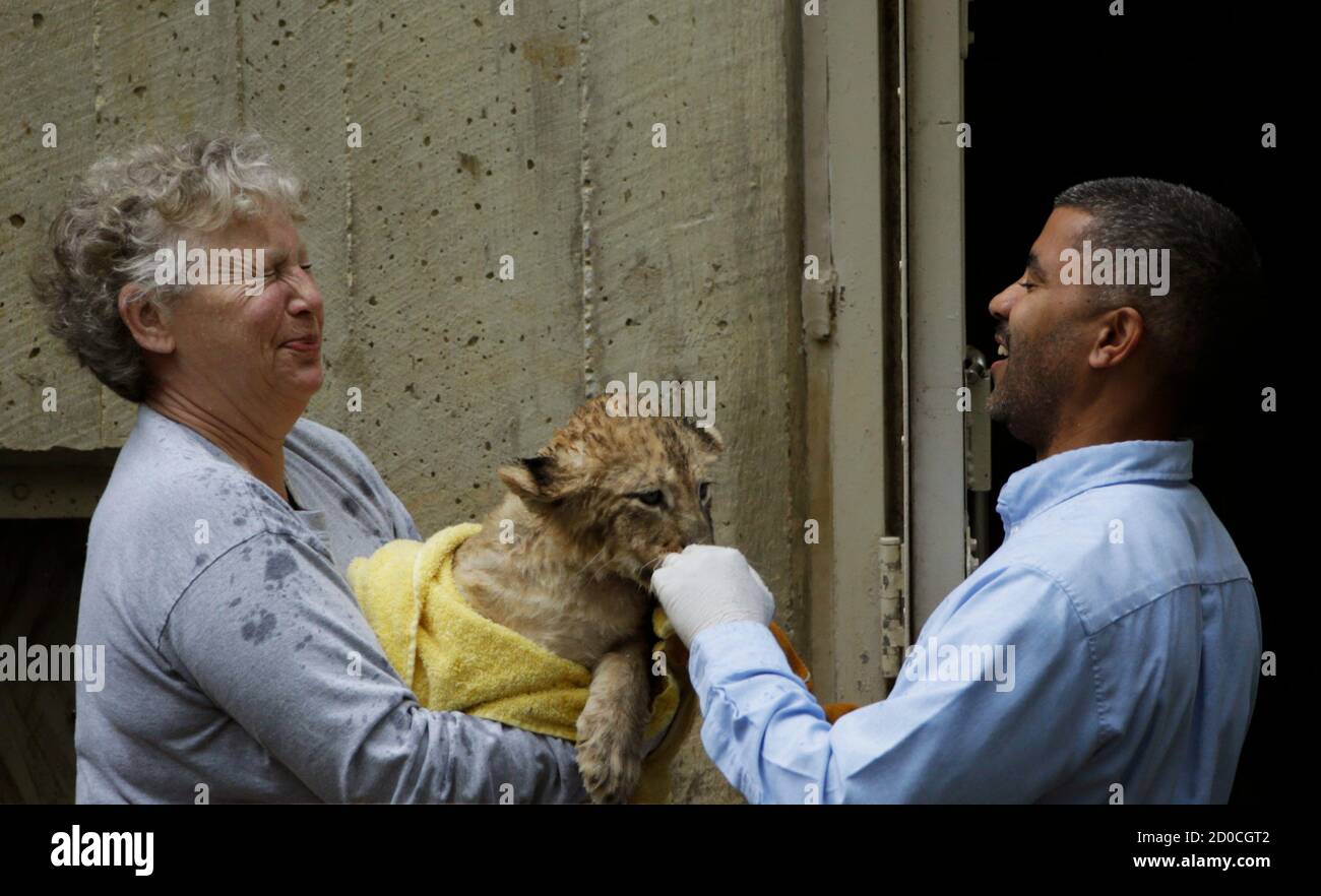 Smithsonian National Zoo animal keeper Marie Magnuson (L) and zoo curator  of cats Carig Saffoe (R) are sprayed by a female lion cub after its swim  test in the zoo habitat moat,