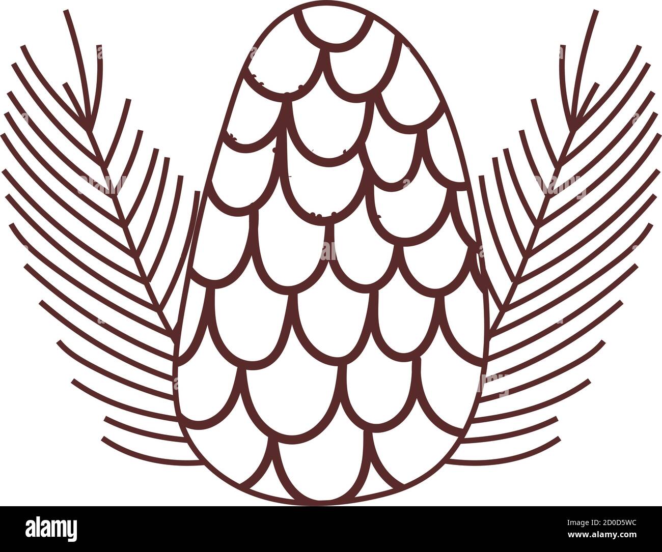 pine cone leaves foliage nature isolated icon design vector ...