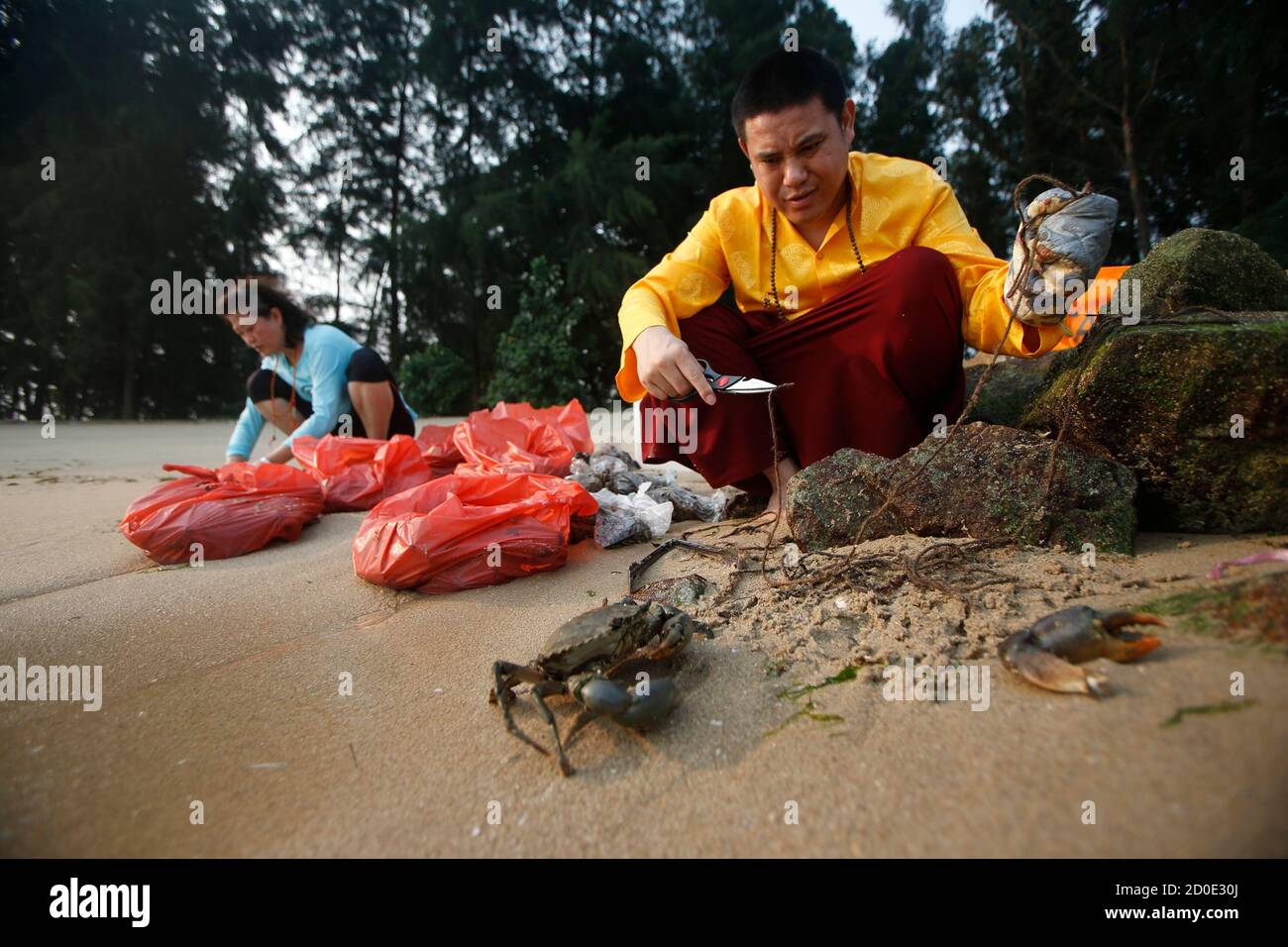 A Tibetan Buddhist monk releases crabs into the sea ahead of a total lunar  eclipse, in Singapore October 8, 2014. Tibetan Buddhists believe that on  lunar and solar eclipses, the effects of