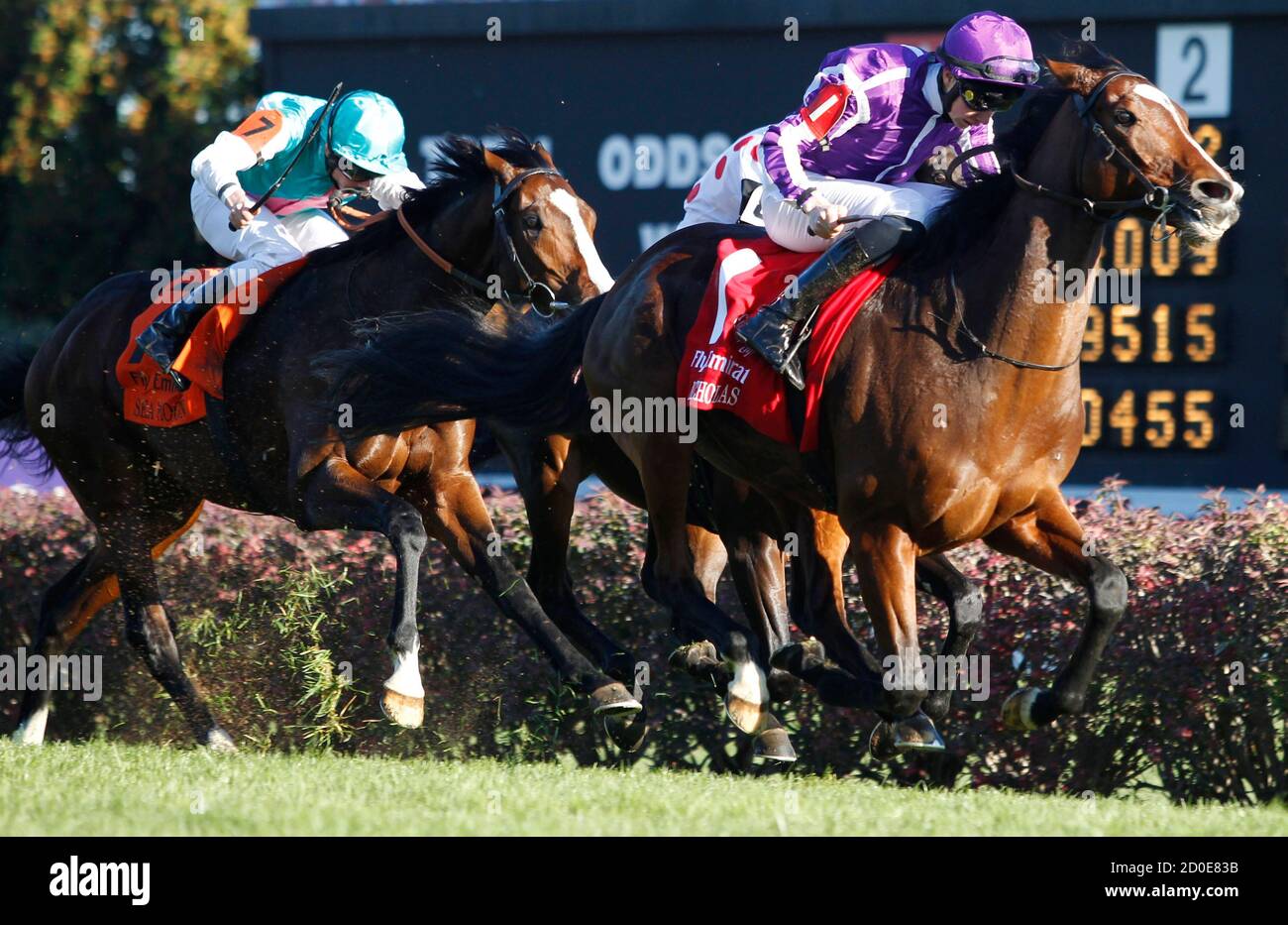 Racing With The Moon High Resolution Stock Photography And Images Alamy