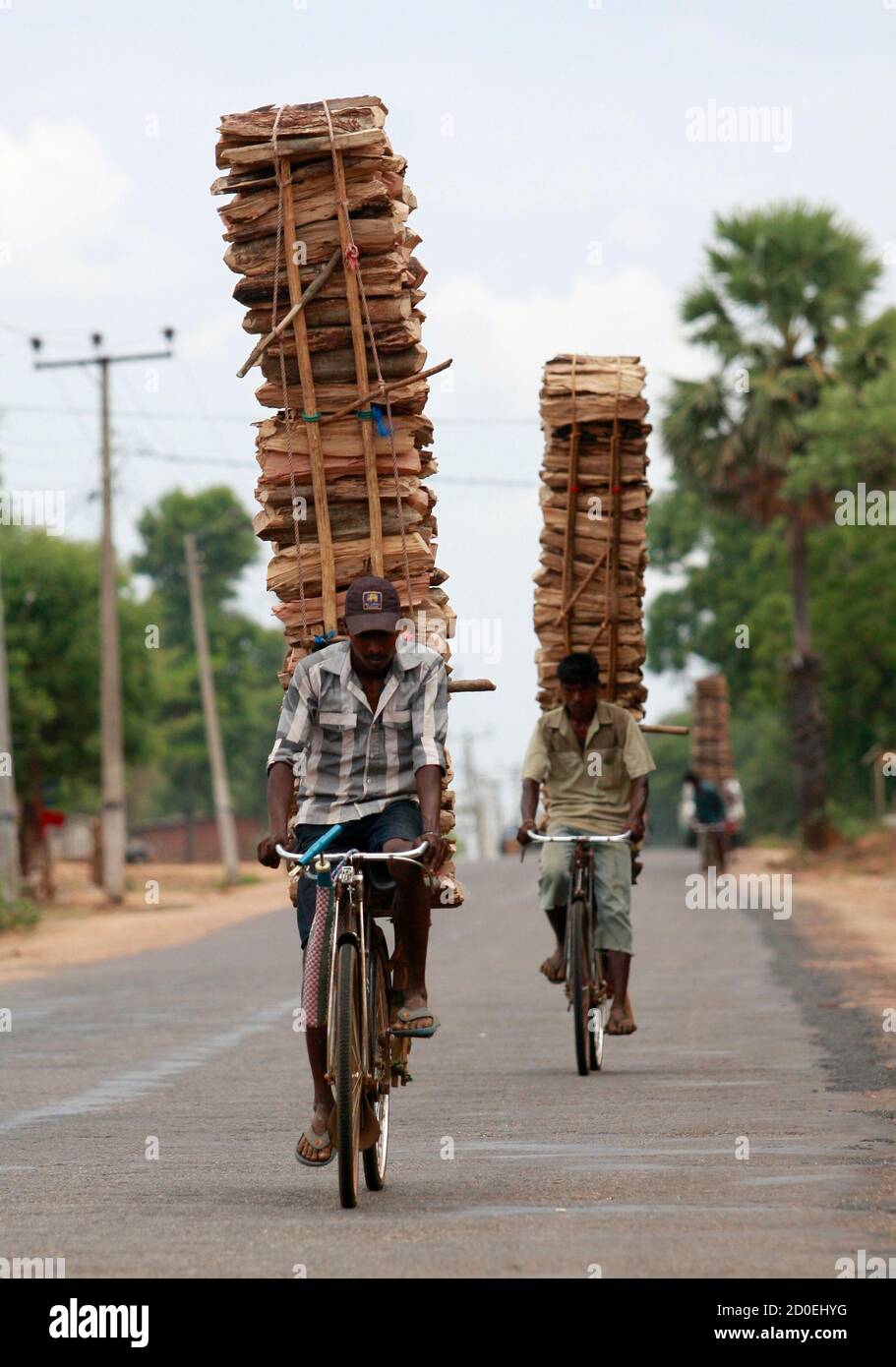 Two men transport wood on their bicycles in Vavuniya, about 260 km (161  miles) from Colombo, August 14, 2010. Picture taken August 14, 2010.  REUTERS/Dinuka Liyanawatte (SRI LANKA - Tags: CIVIL UNREST POLITICS SOCIETY  Stock Photo - Alamy