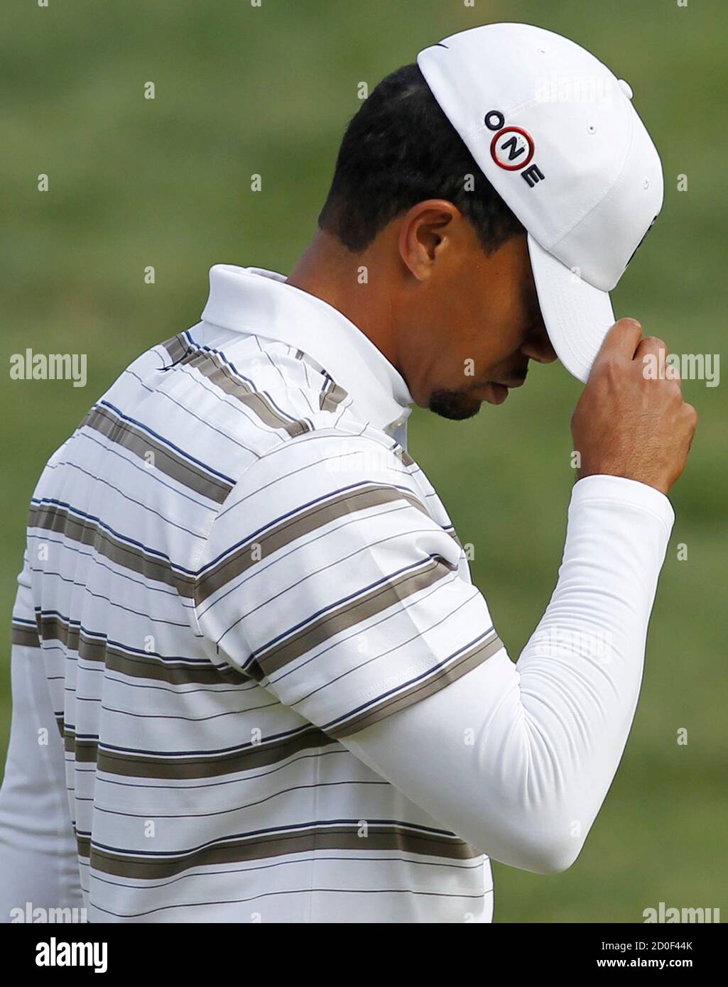 Hat Tiger Face High Resolution Stock Photography And Images Alamy