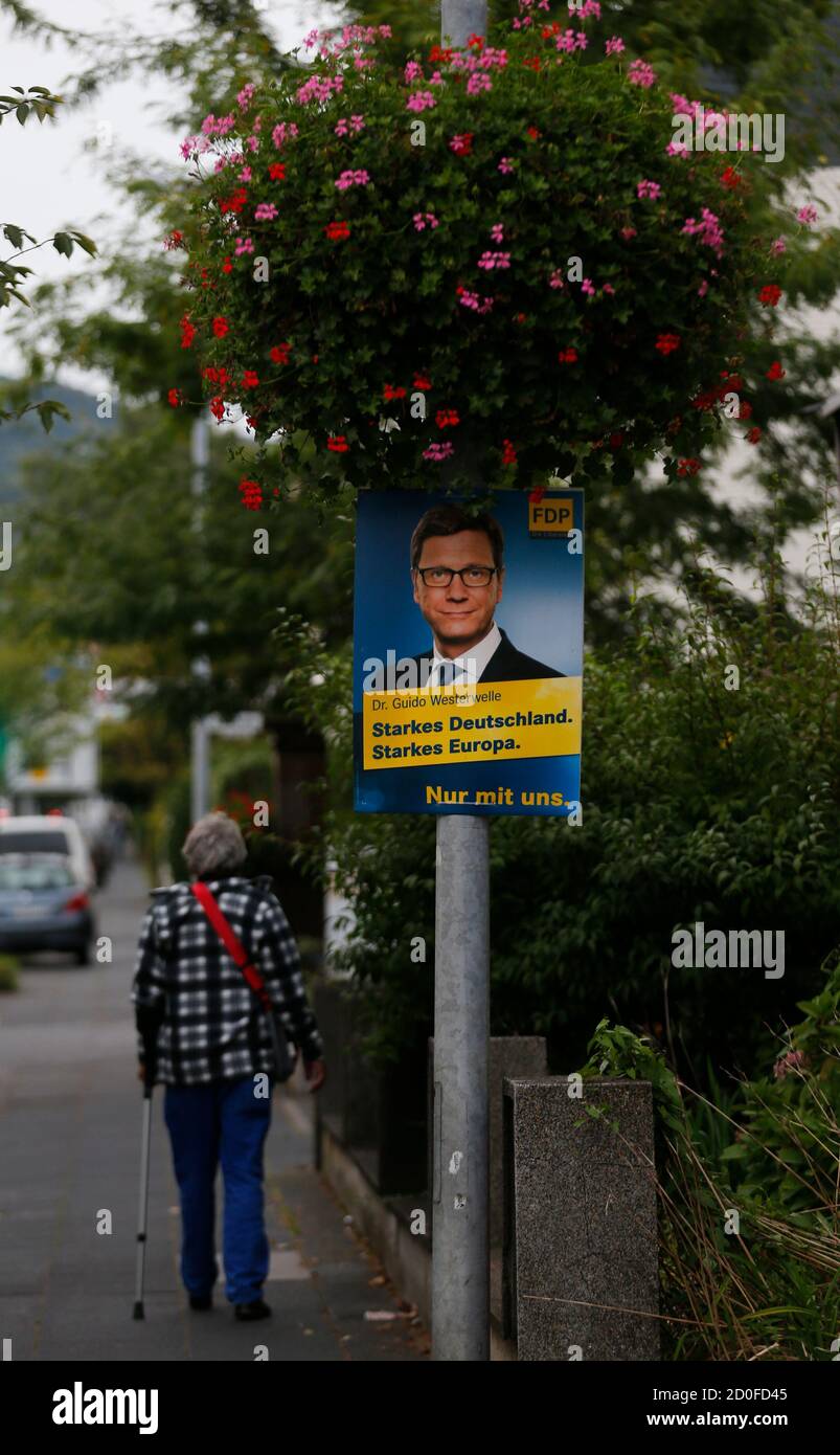 The election campaign poster of German Foreign Minister Guido Westerwelle from the liberal Free Democratic party FDP is placed under a huge flower pot in the western German town of Bad Honnef near Bonn September 19, 2013. Germany will hold general elections on September 22 in which German Chancellor Angela Merkel is running for a third term with her preferred coalition partner FDP.               REUTERS/Wolfgang Rattay   (GERMANY - Tags: POLITICS ELECTIONS) Stock Photo