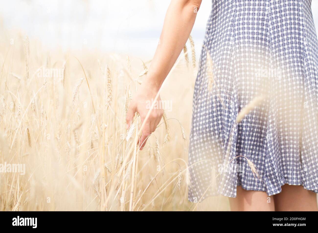 Woman in a wheat field in the sunset Stock Photo - Alamy