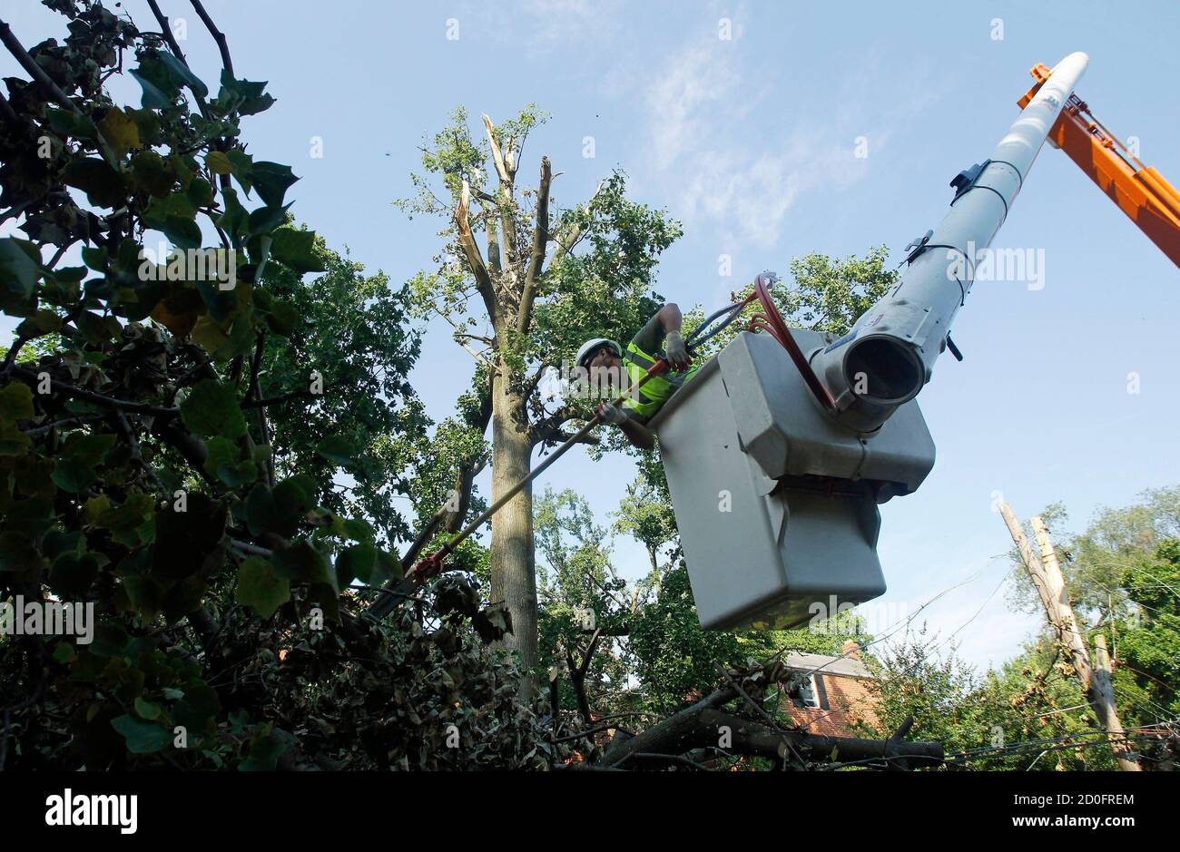 Hanging down from the branches of a tree hires stock photography and images Alamy