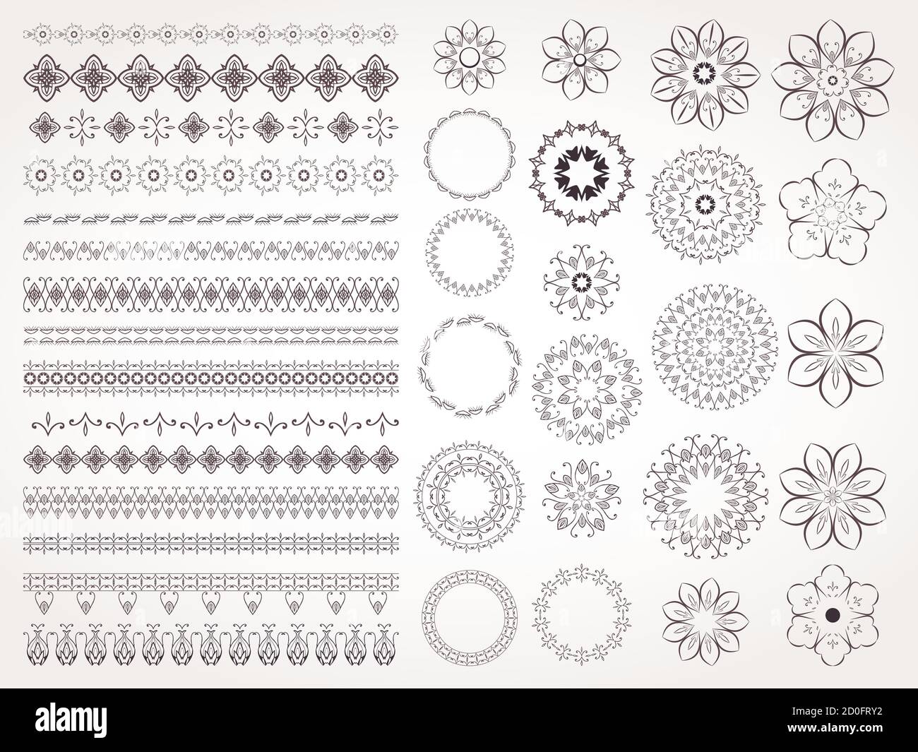 Vector set of decorative border, flowers and elements for design Stock ...