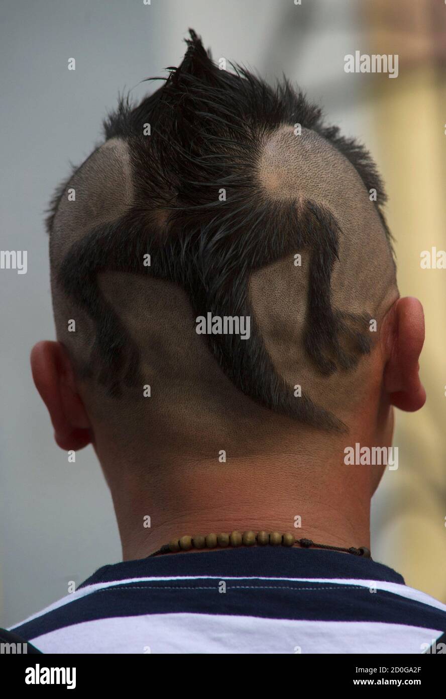 Rudy Parraga, from Guayaquil, shows his Galapagos iguana-inspired hair  design on a street in Quito August 15, 2012. REUTERS/Guillermo Granja  (ECUADOR - Tags: SOCIETY Stock Photo - Alamy