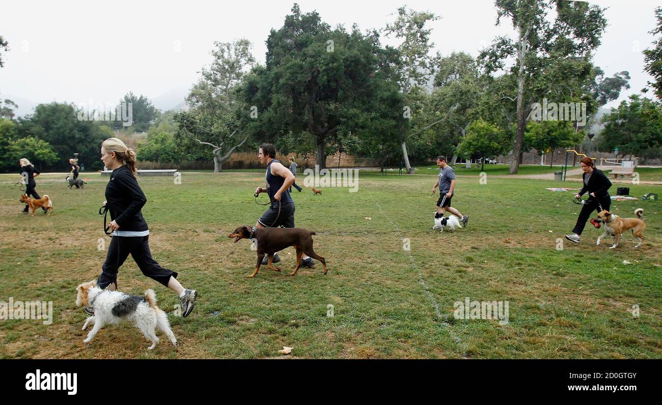Owners and their dogs work out during the Thank Dog! Bootcamp fitness class in Burbank, California in this June 18, 2010 file photograph. As the obesity rate soars among Americans, their dogs are getting potbellied, too, encouraging fitness companies to come up with a range of equipment and classes to get pampered pets back into shape.     REUTERS/Mario Anzuoni/Files     (UNITED STATES - Tags: ANIMALS HEALTH SOCIETY) Stock Photo