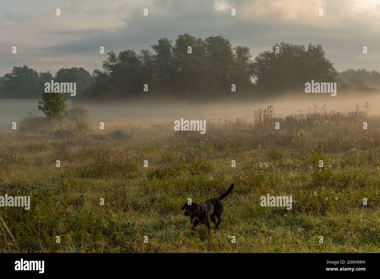 Morning mood on an early autumn day in the Uckermark, Germany Stock Photo