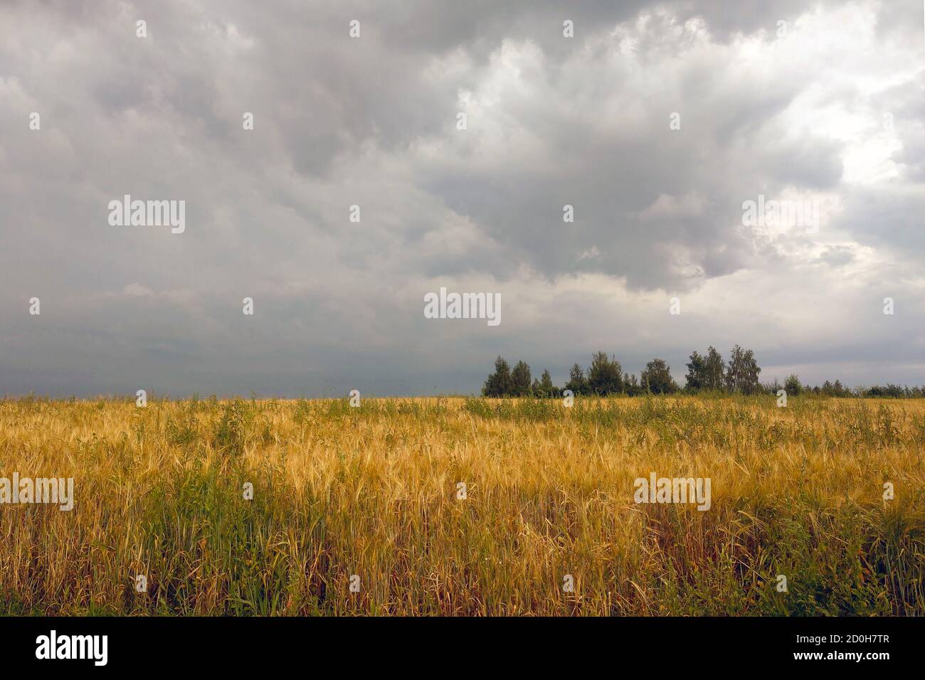 Dark sky in the countryside over a field before a thunderstorm Stock Photo