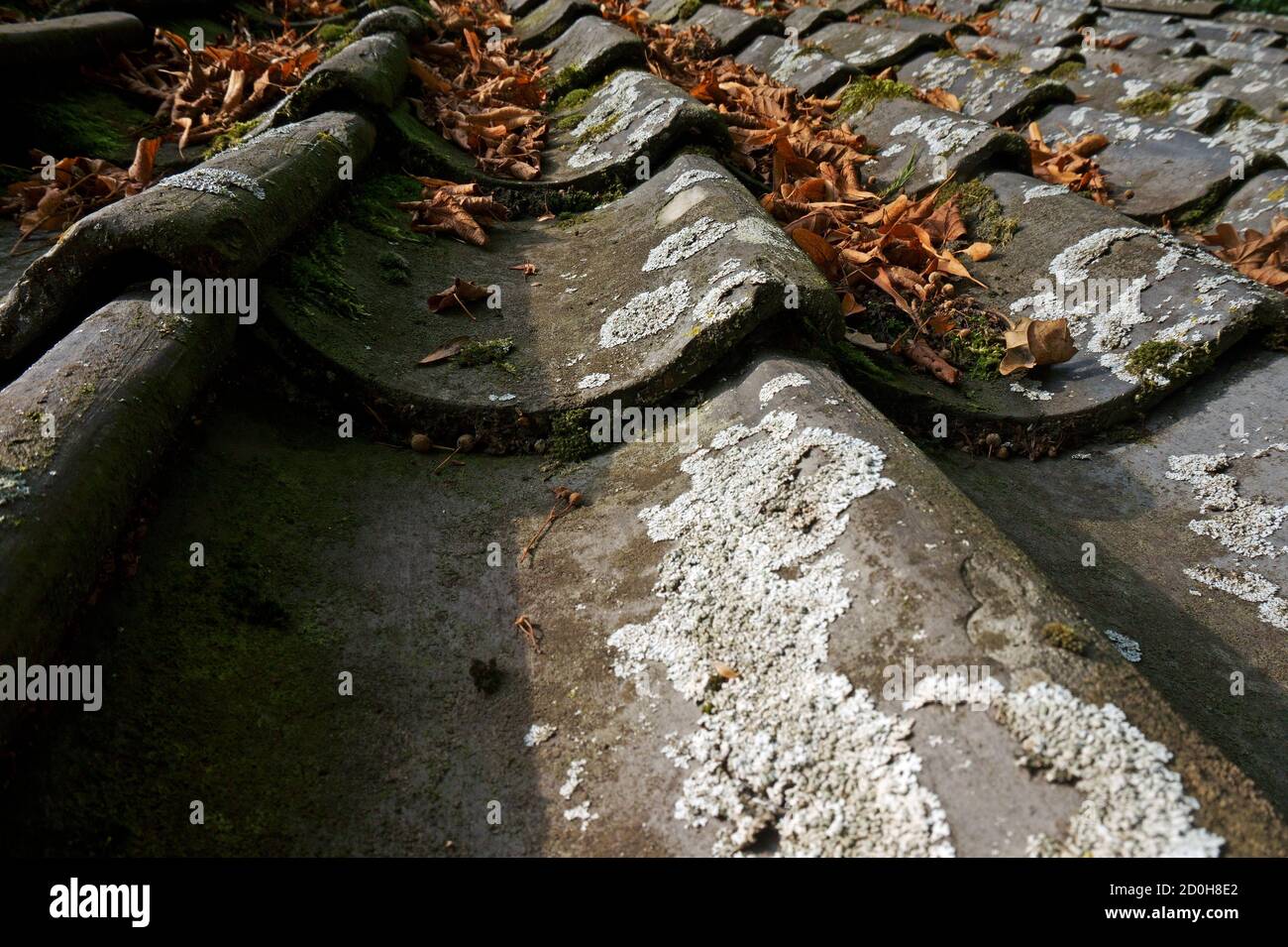 Dark roof tiles hi-res stock photography and images - Alamy