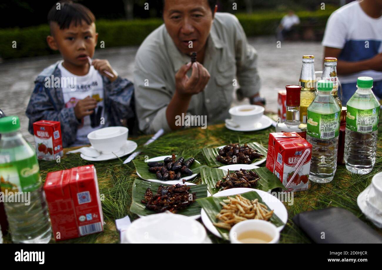 People eating insects in asia hi-res stock photography and images - Alamy