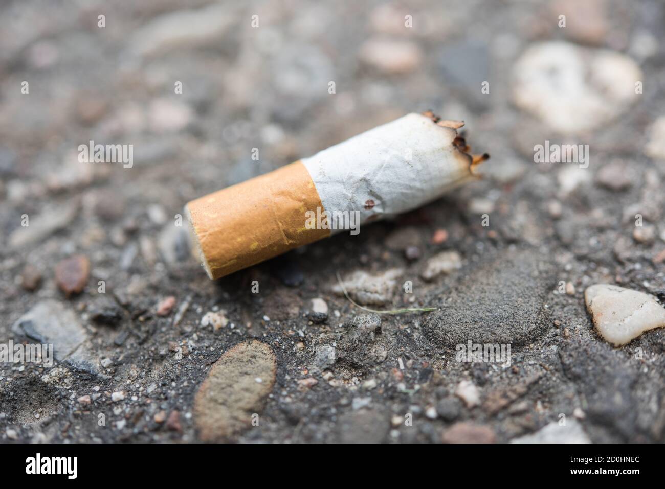 cigarette bum cigarette butt lying on the street Stock Photo
