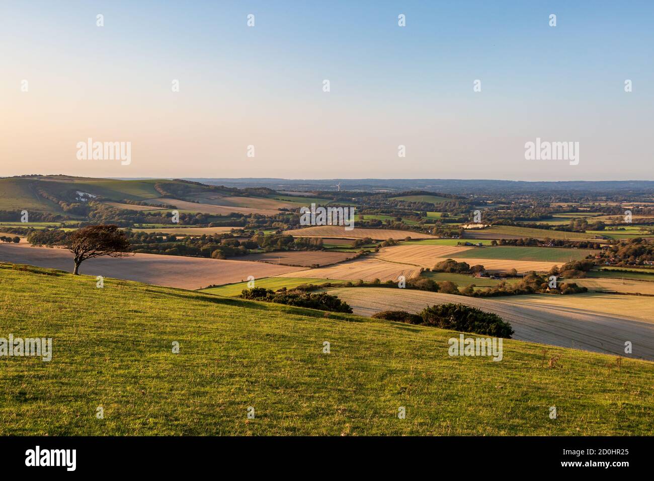 A view from Firle Beacon over fields in the South Downs, with evening light Stock Photo