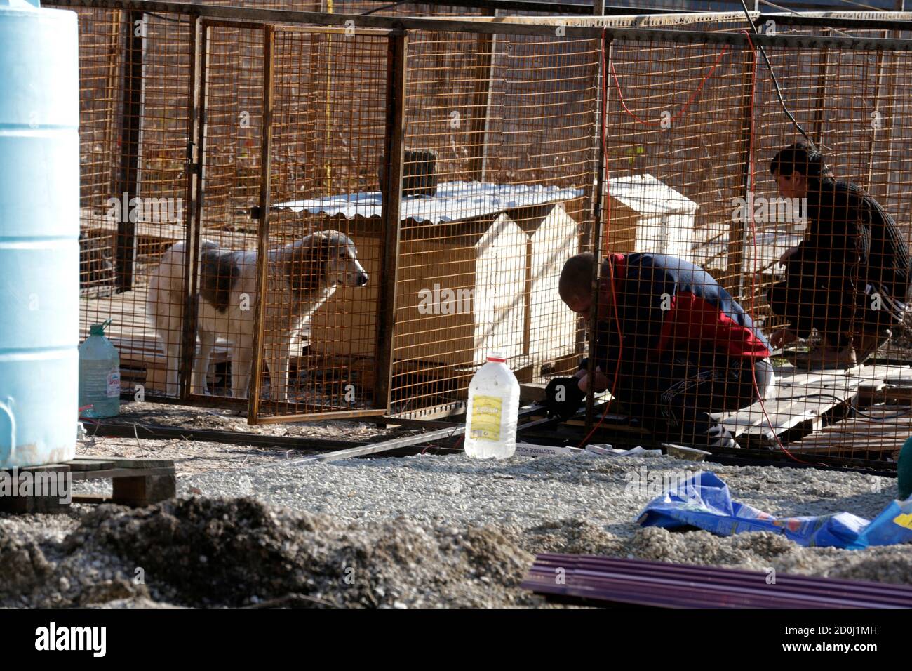 stray animal shelter near me