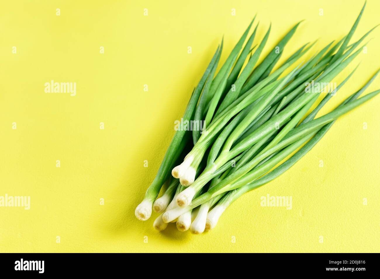 Fresh green onion on yellow background with free text space. Close up view Stock Photo