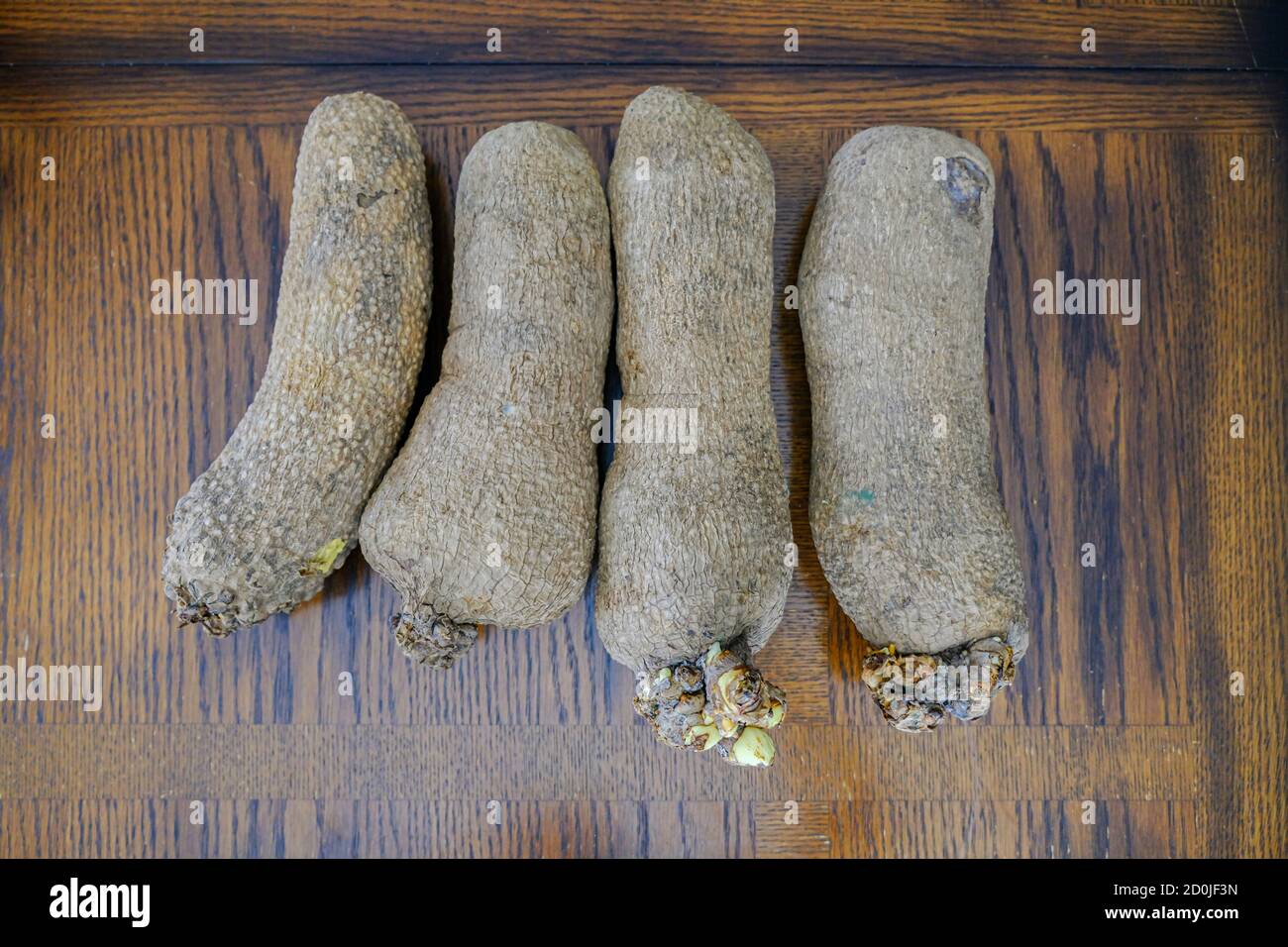 Tubers of Nigerian Yam on display Stock Photo Alamy