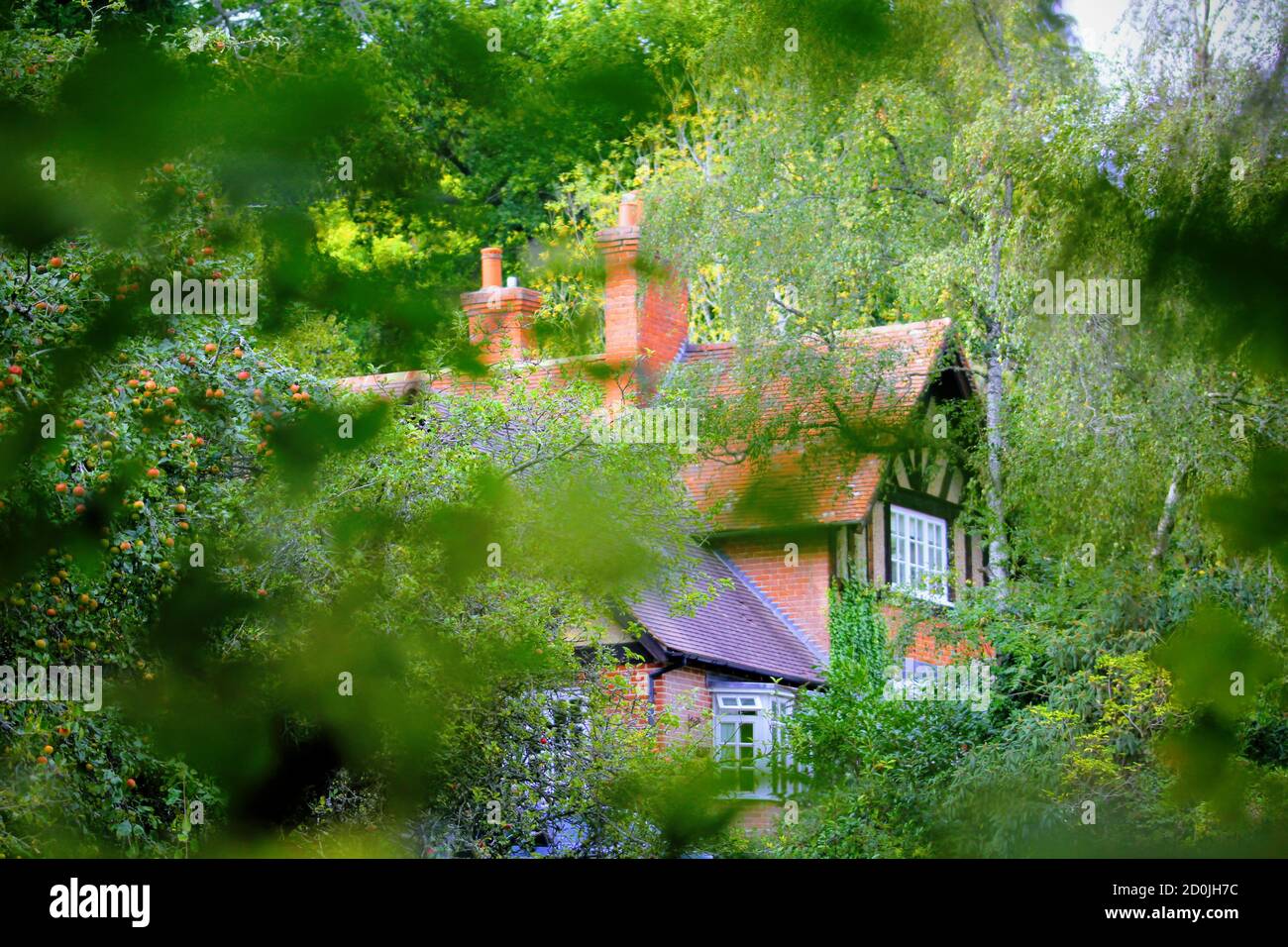 Hidden house cottage in Surrey Stock Photo