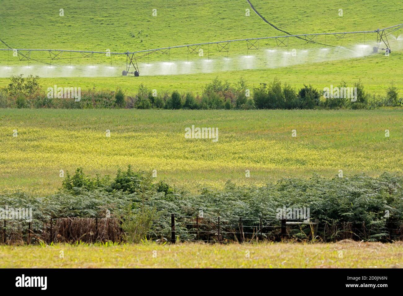 Rural farm landscape with lush green fields under irrigation, South Africa Stock Photo