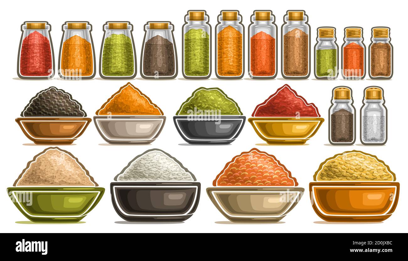 Vector Set of different Spices, collection of isolated illustrations with healthy cereals in pots, diverse fresh hot spices in dishes, group of assort Stock Vector